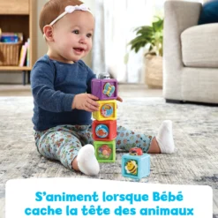 Cubes animaux surprises