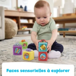Cubes animaux surprises