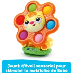 P'tit lion Tourni Pop