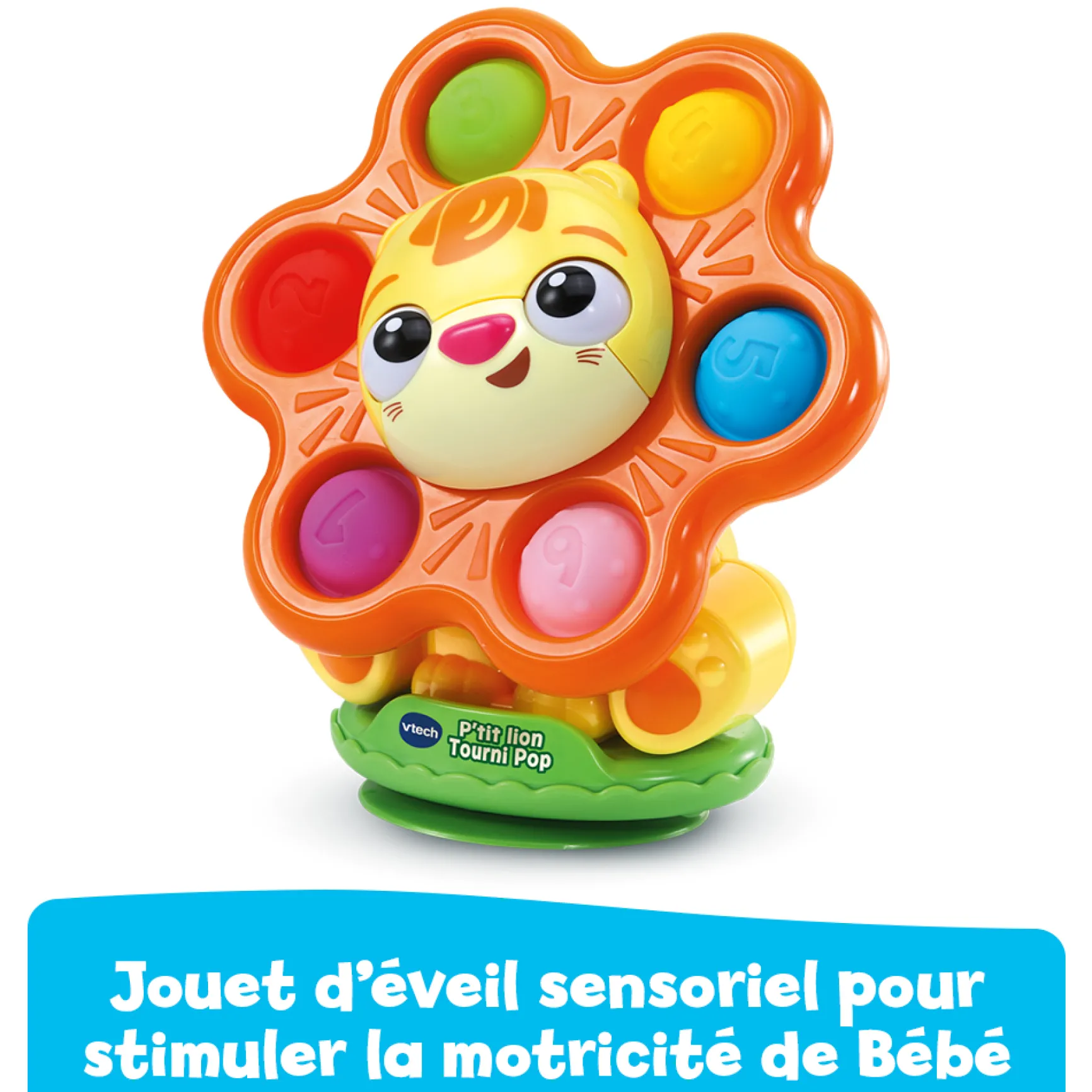P'tit lion Tourni Pop