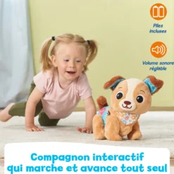 Toutou 1,2,3 suis-moi