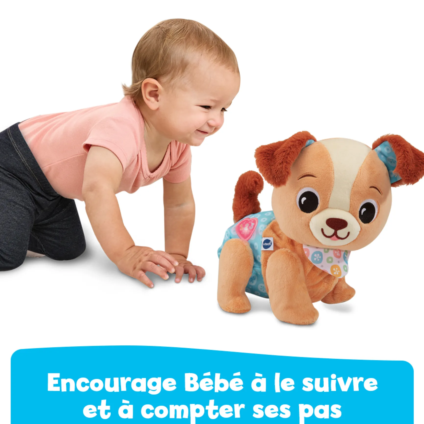 Toutou 1,2,3 suis-moi